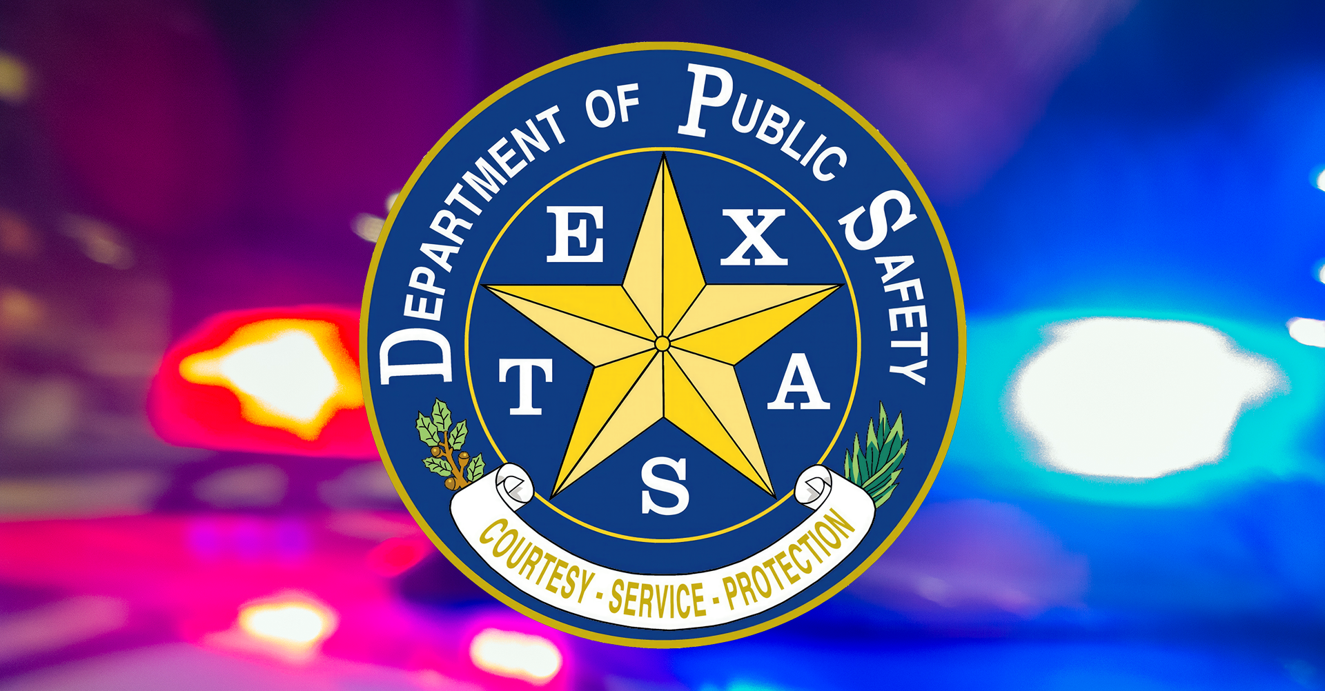 DPS Texas Logo Image